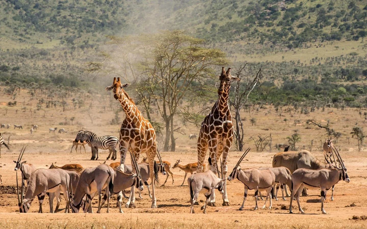 boats kenya 04 resize 1440x900 c default
